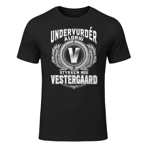 vestergaard-lndk08