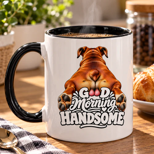 Handsome Good Morning Funny