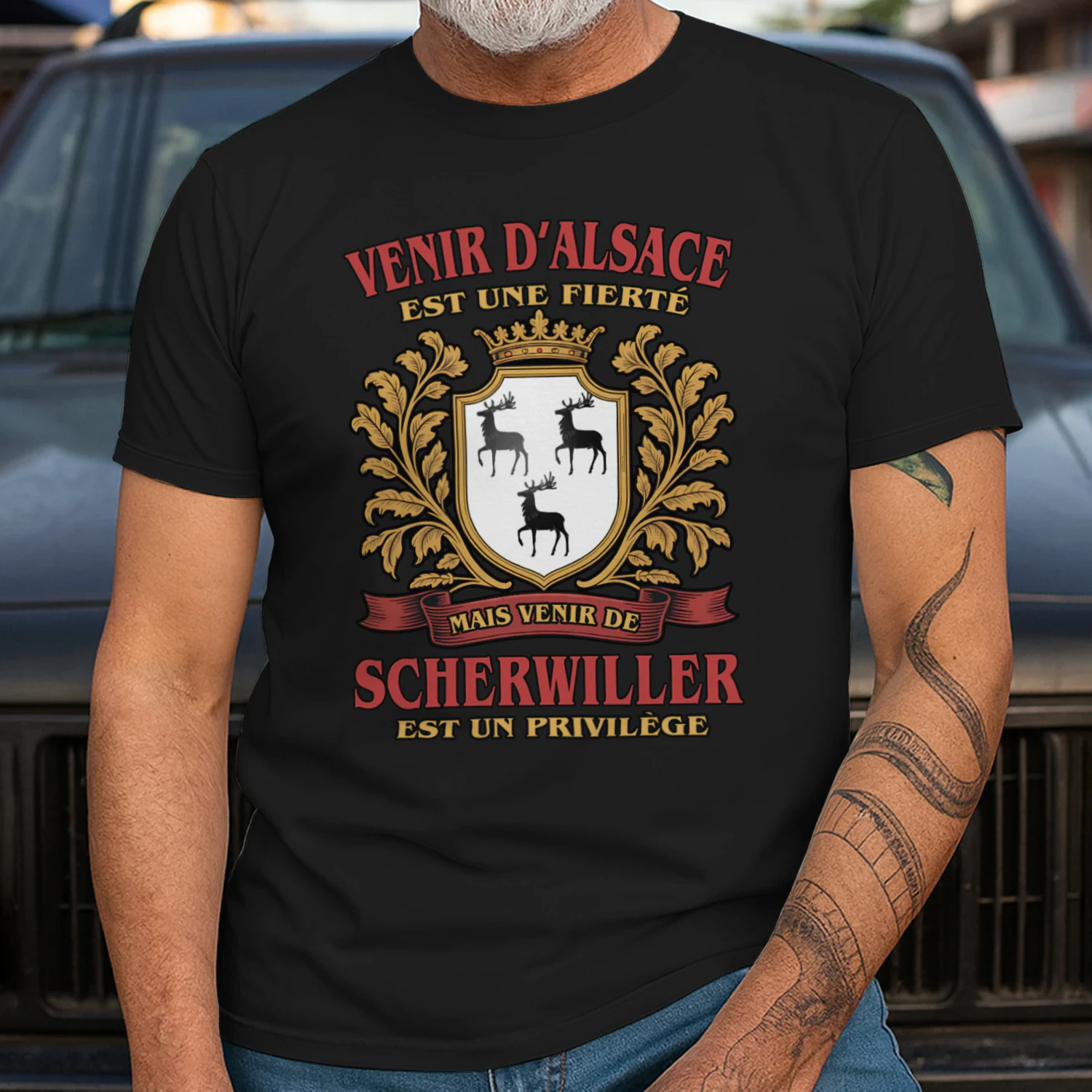 azfm12fra-SCHERWILLER-s1s-fix