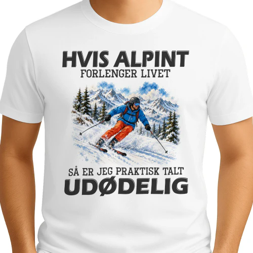 skiing immort NY