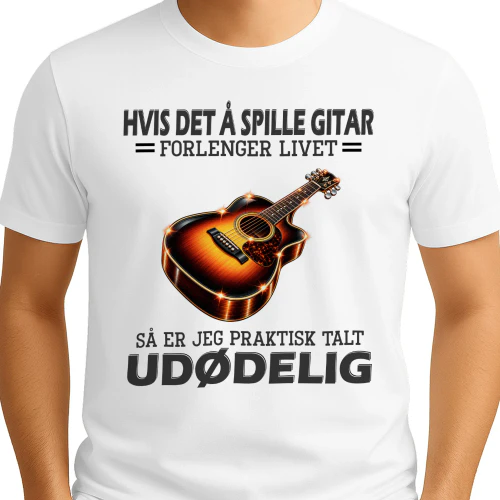 Guitar immort NY