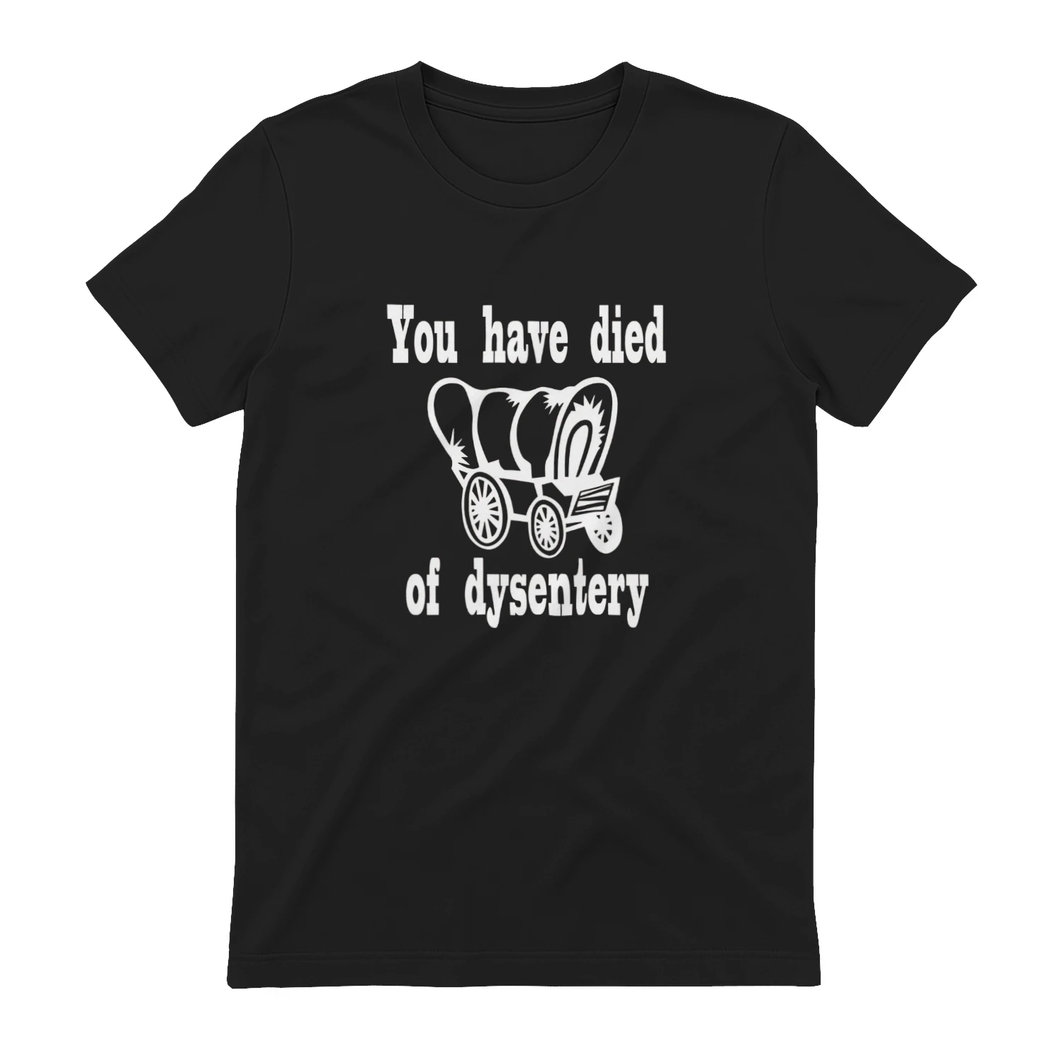 You have died of Dysentery shirt