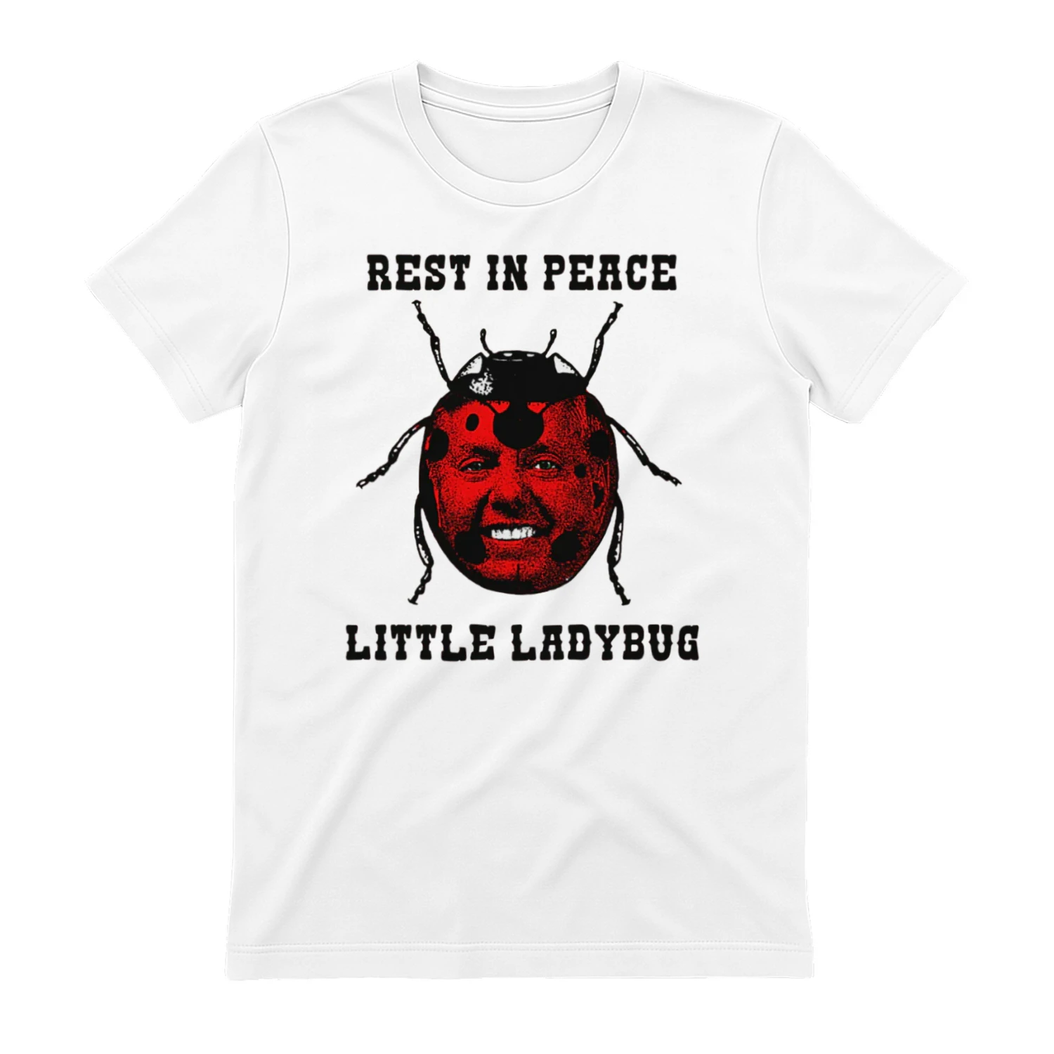 Rest In Peace Little Ladybug.