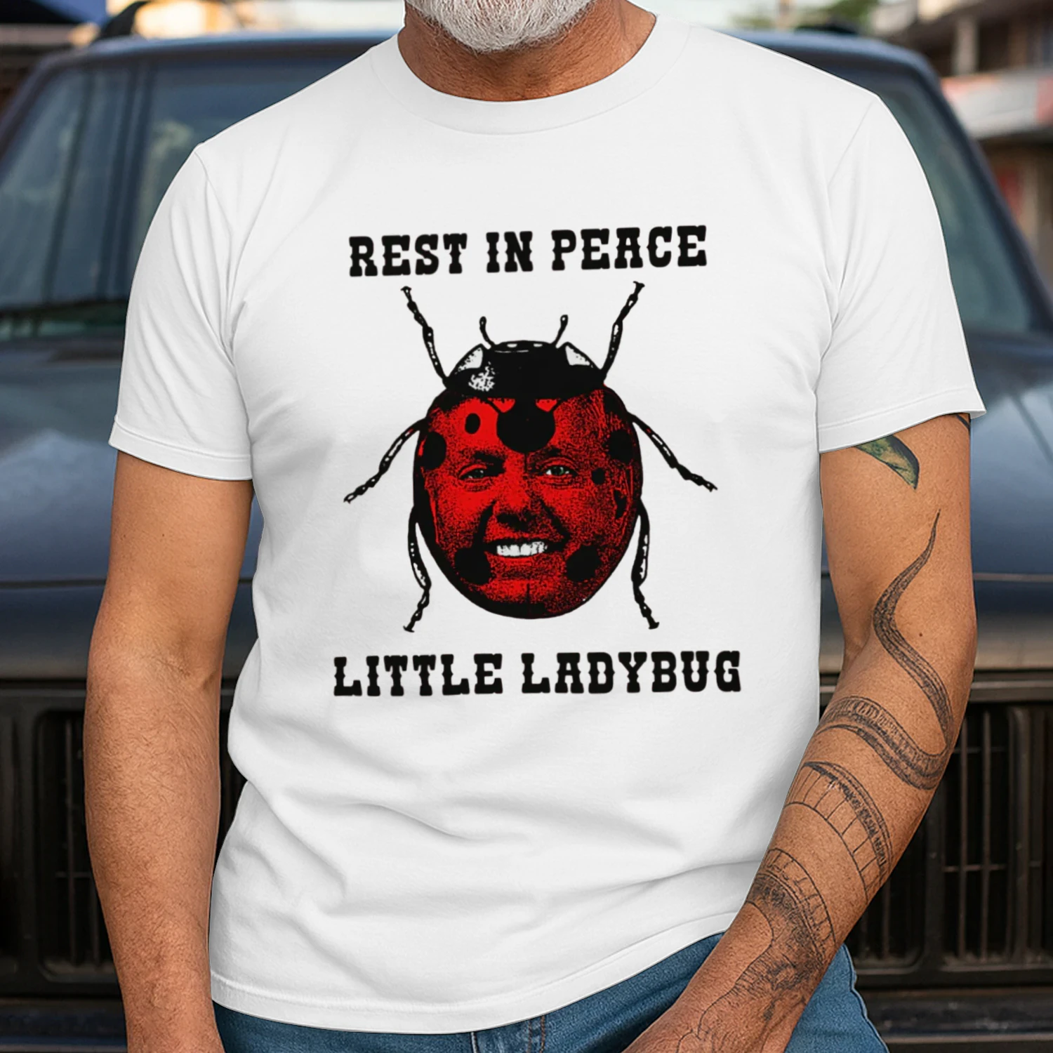 Rest In Peace Little Ladybug.