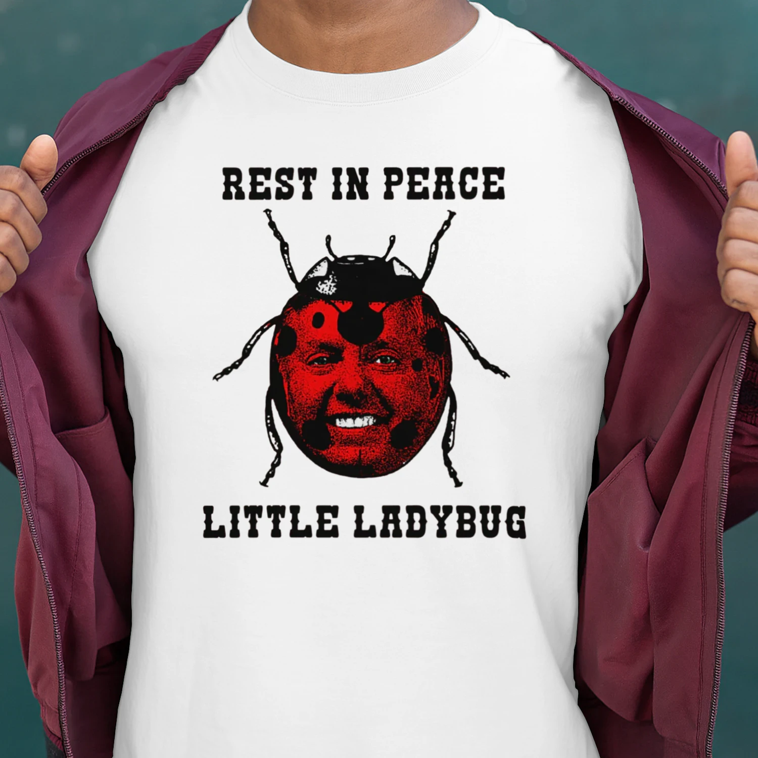 Rest In Peace Little Ladybug.