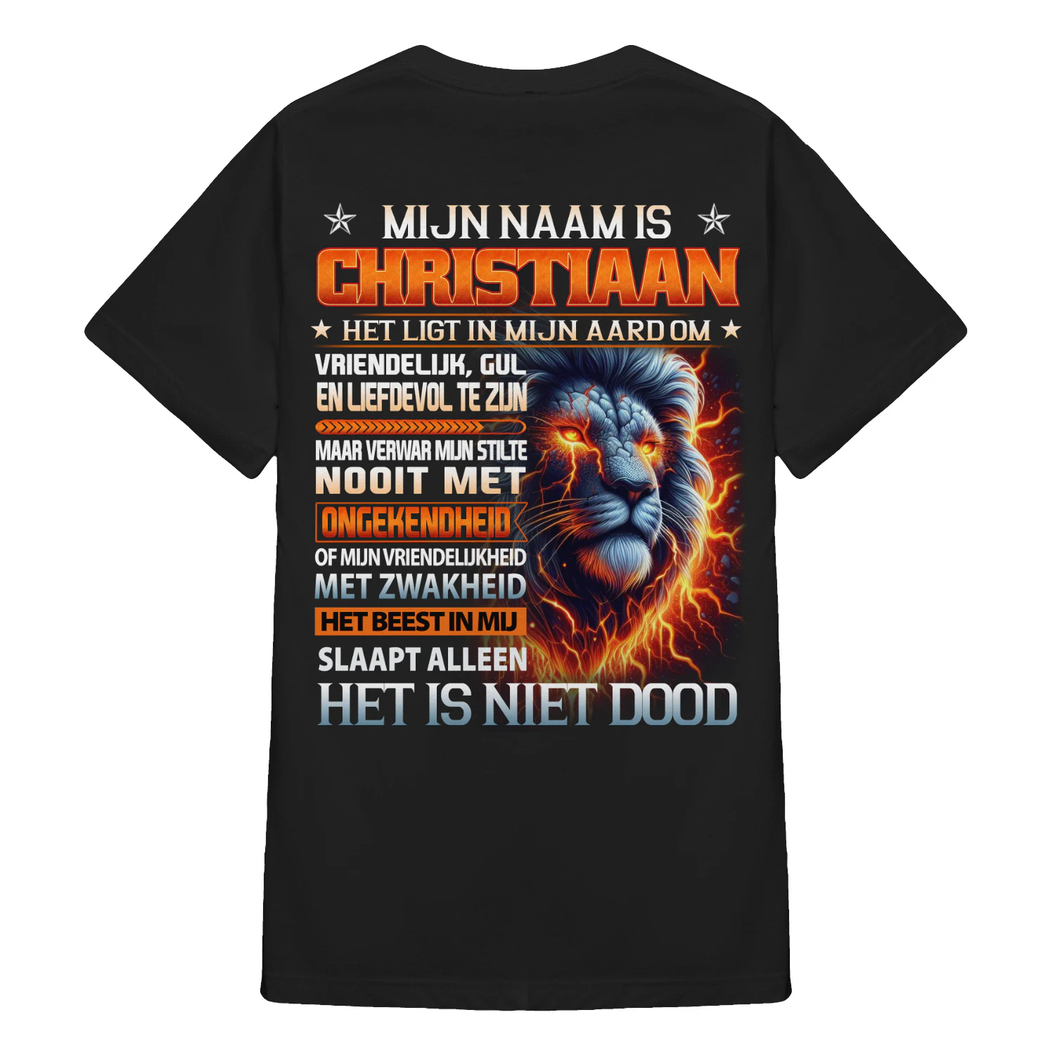 christiaan-nl-lion
