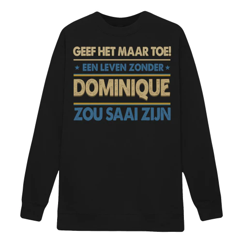 dominique-nl-boring1