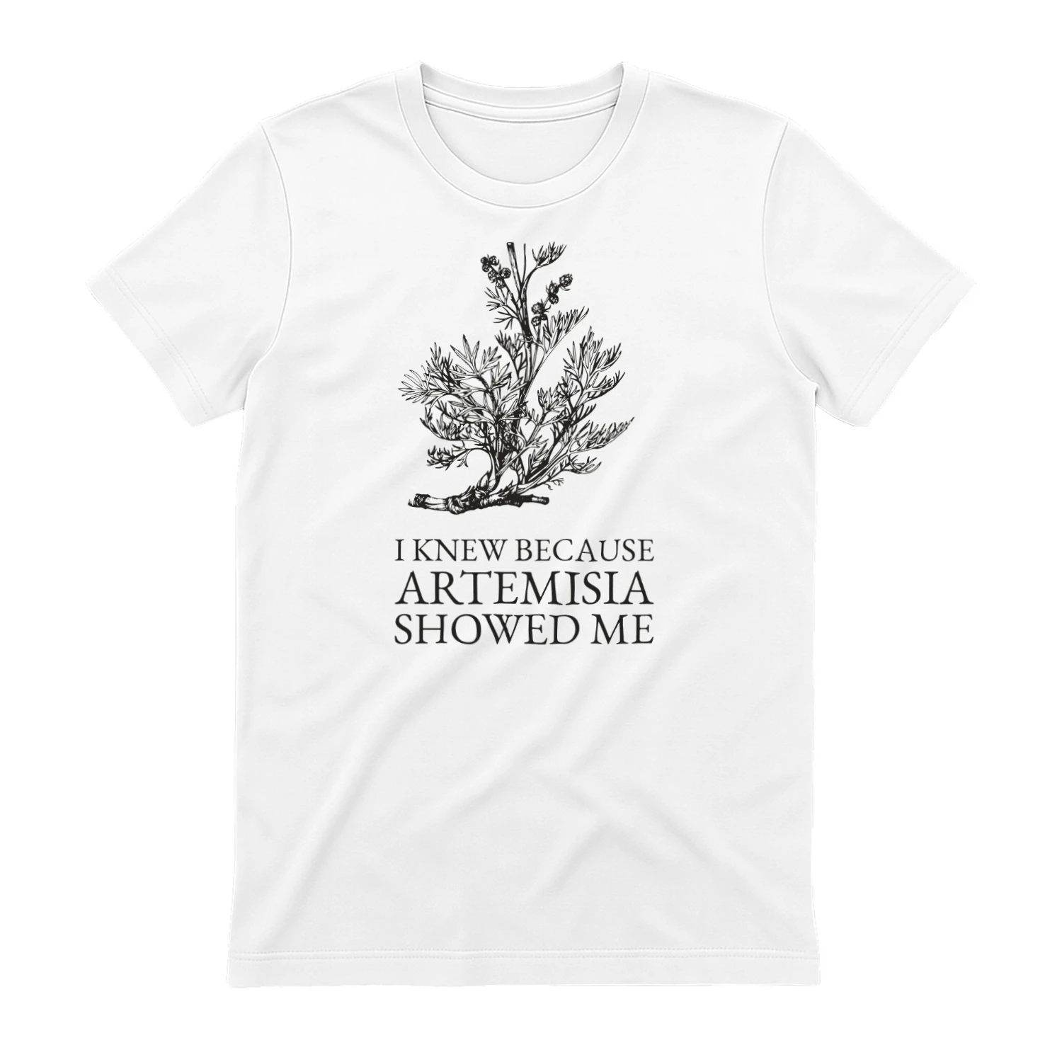 Artemisia's gift