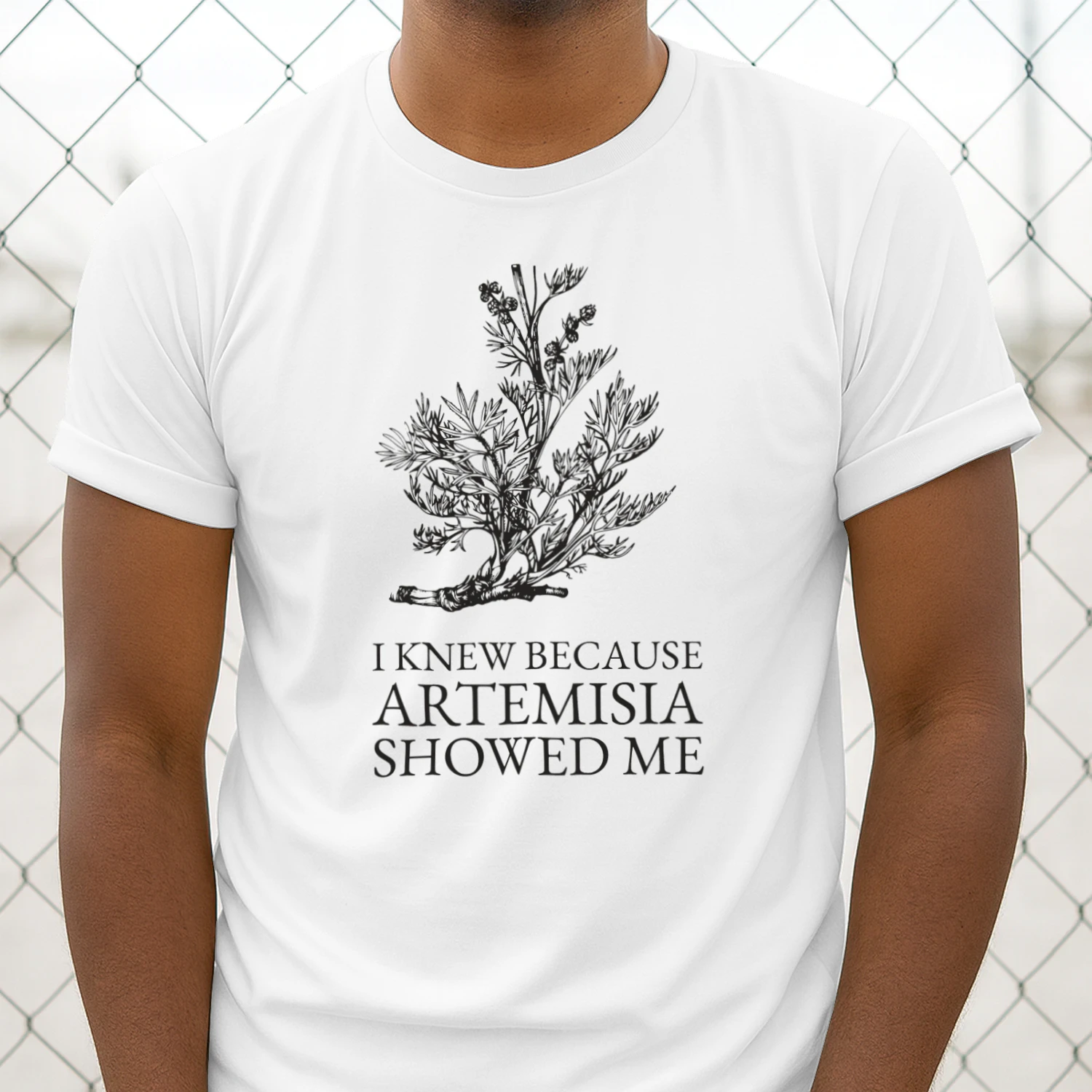 Artemisia's gift