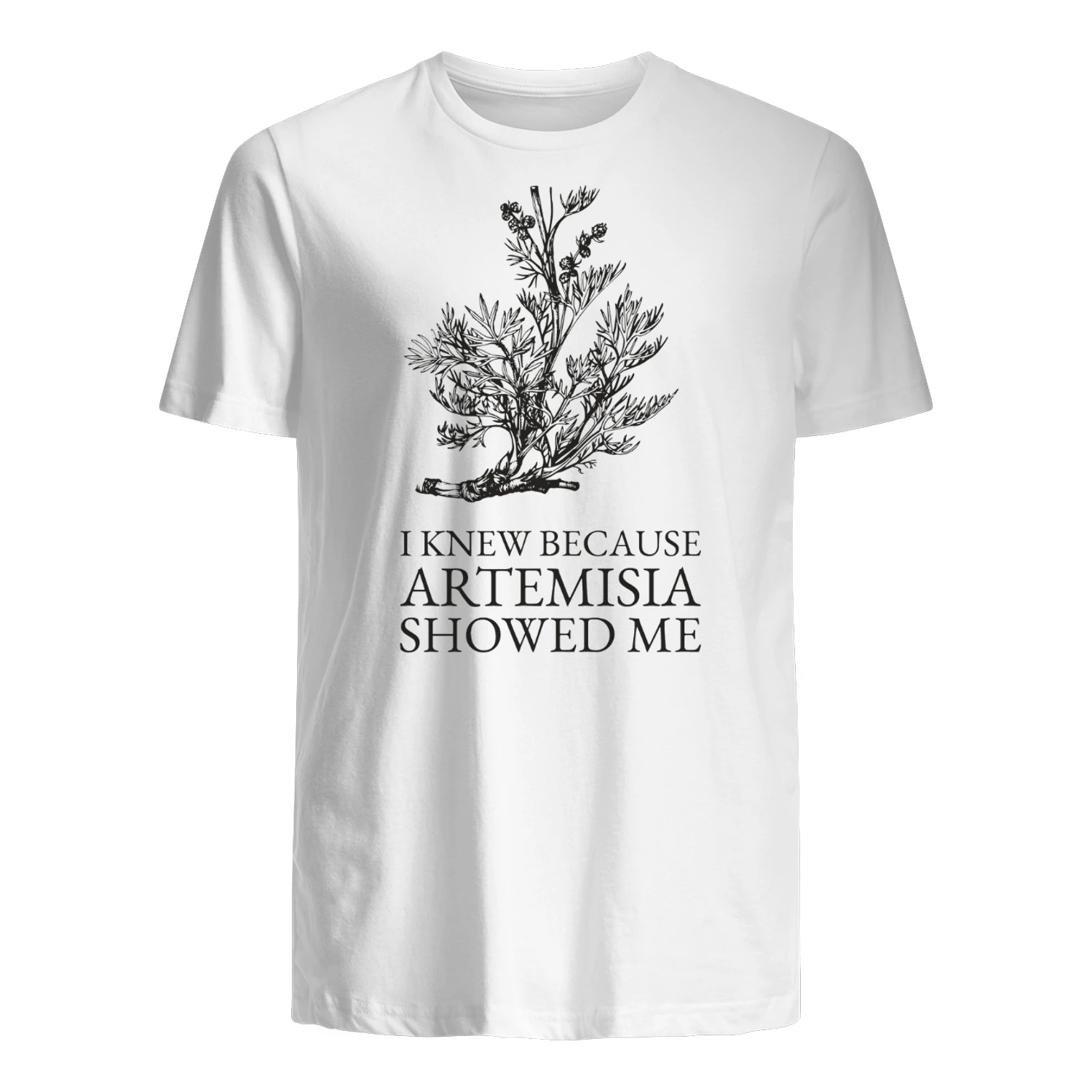 Artemisia's gift