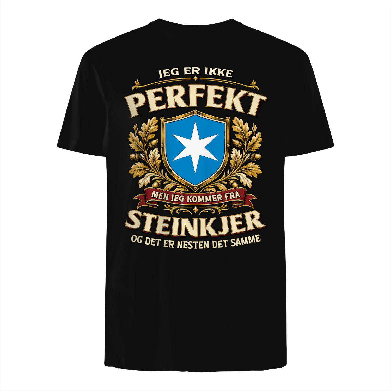 pef1m1nor-STEINKJER-s1