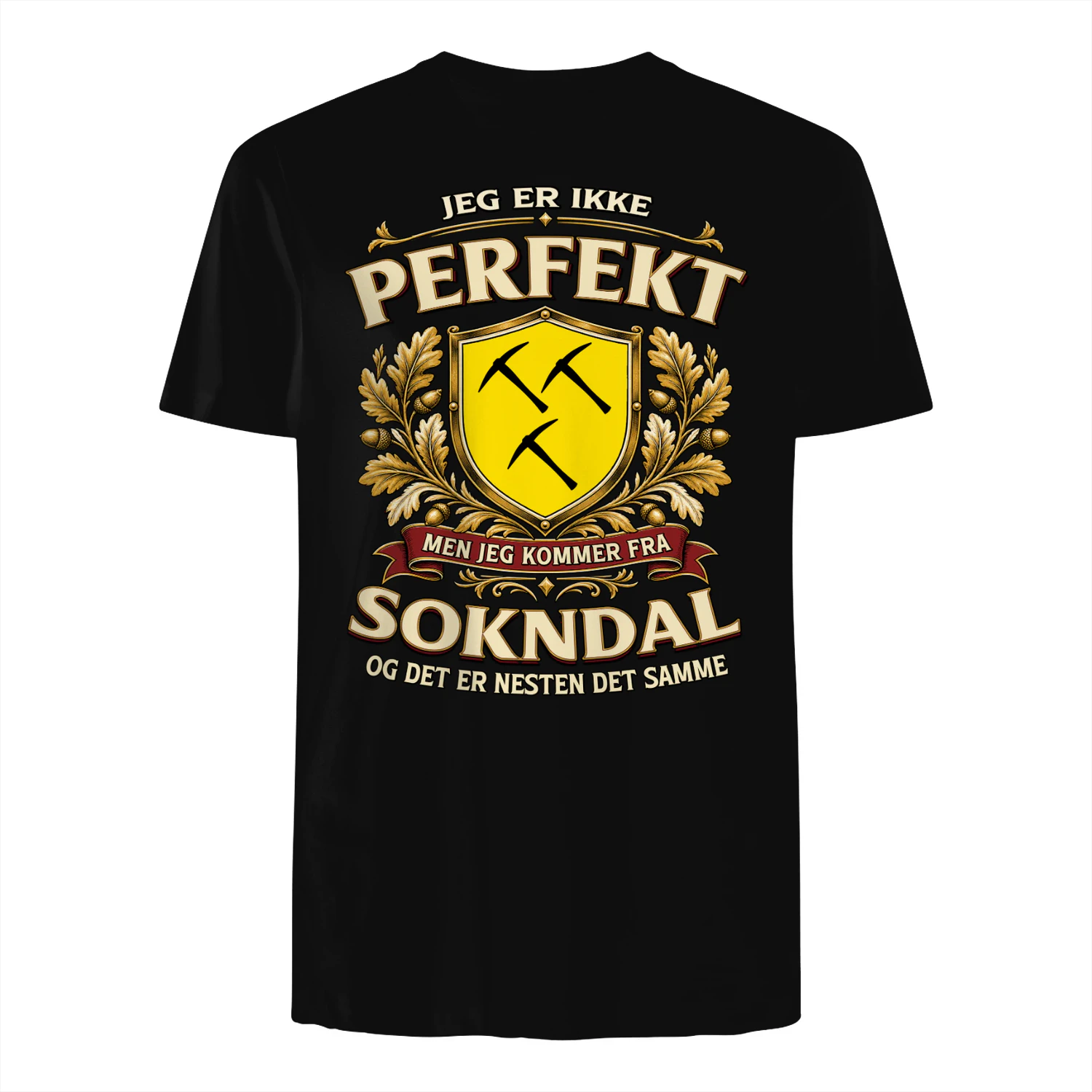 pef1m1nor-SOKNDAL-s1