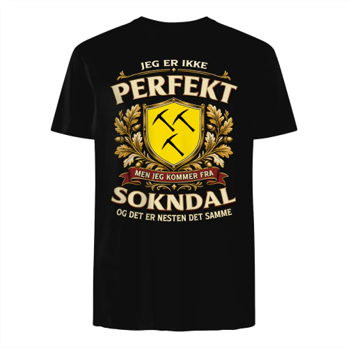 pef1m1nor-SOKNDAL-s1