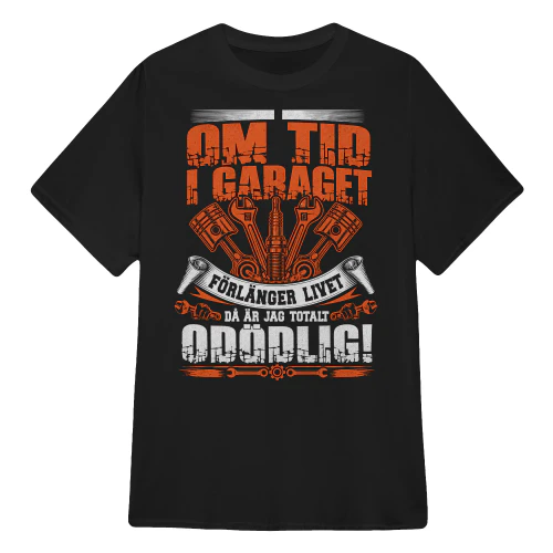 Garage immortal V4 Sw
