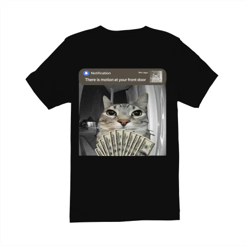 Meme Cat