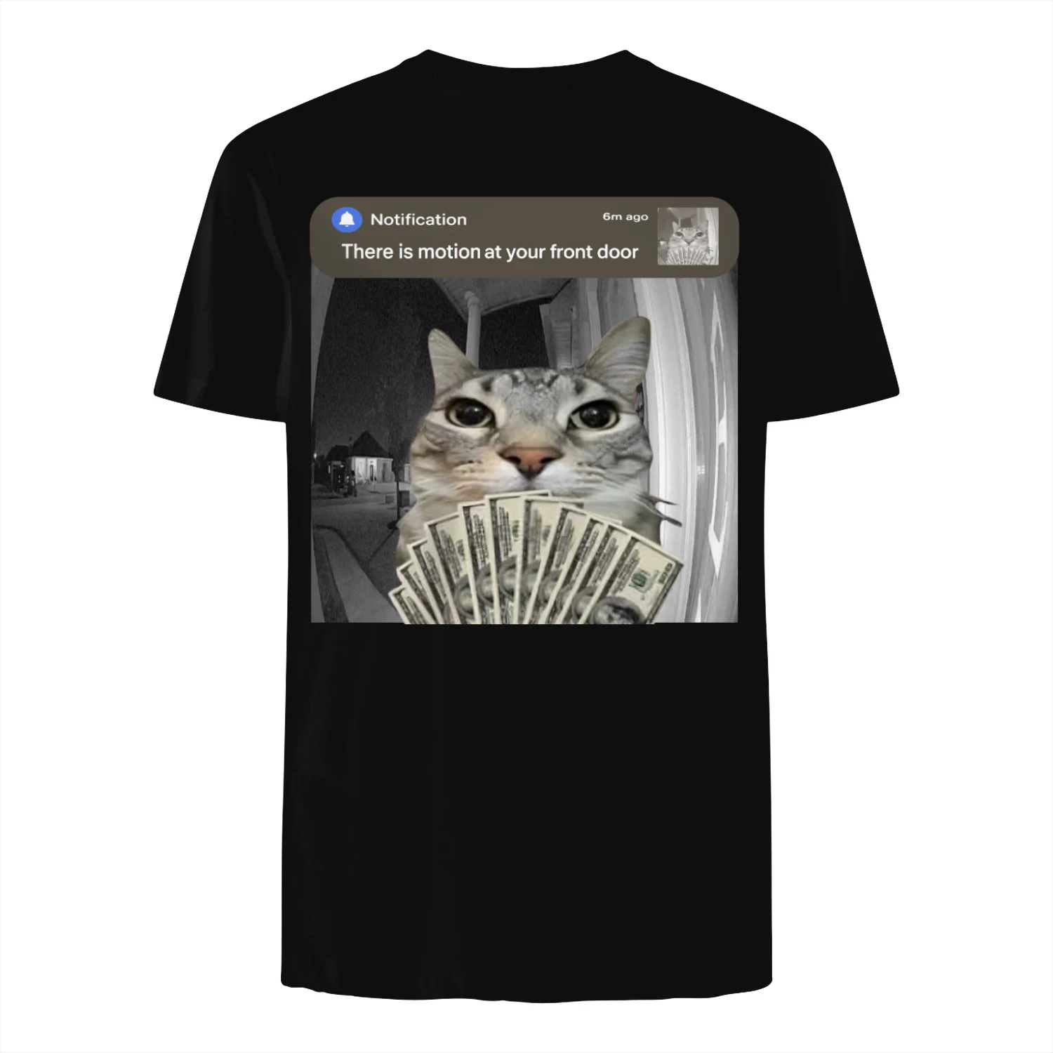 There is Motion at Your Front Door Funny Cat Motion Meme