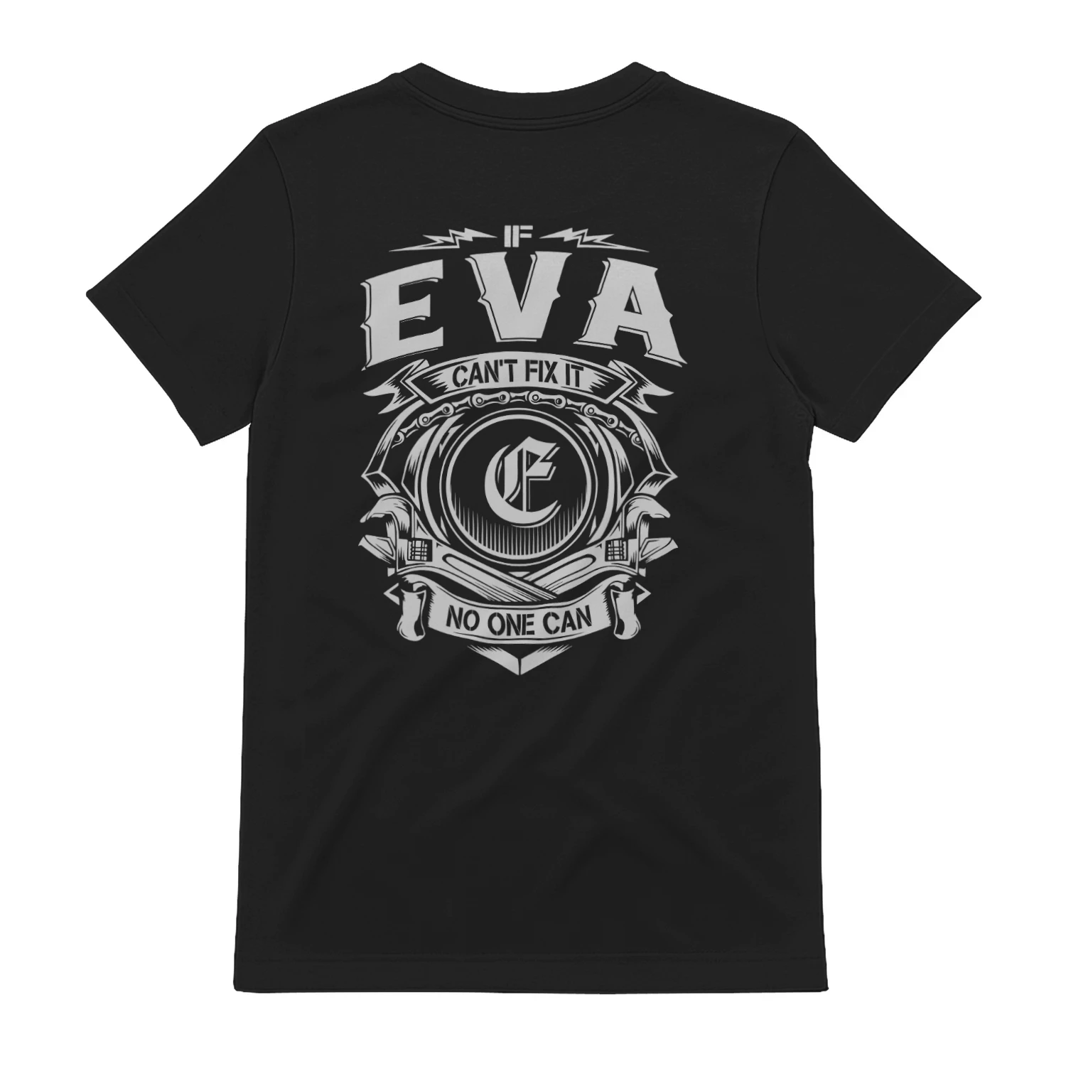 eva-icfnoc-01
