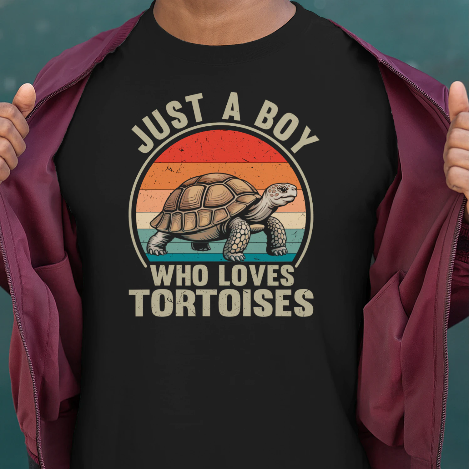 Tortoise Shirt, Just A Boy Who Loves Tortoises, Tortoise Lover Gift, Turtle Lover Shirt, Reptile Lover Gift, Vintage Tortoise Tee