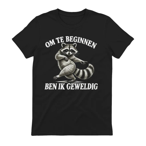 OM TE BEGINNEN