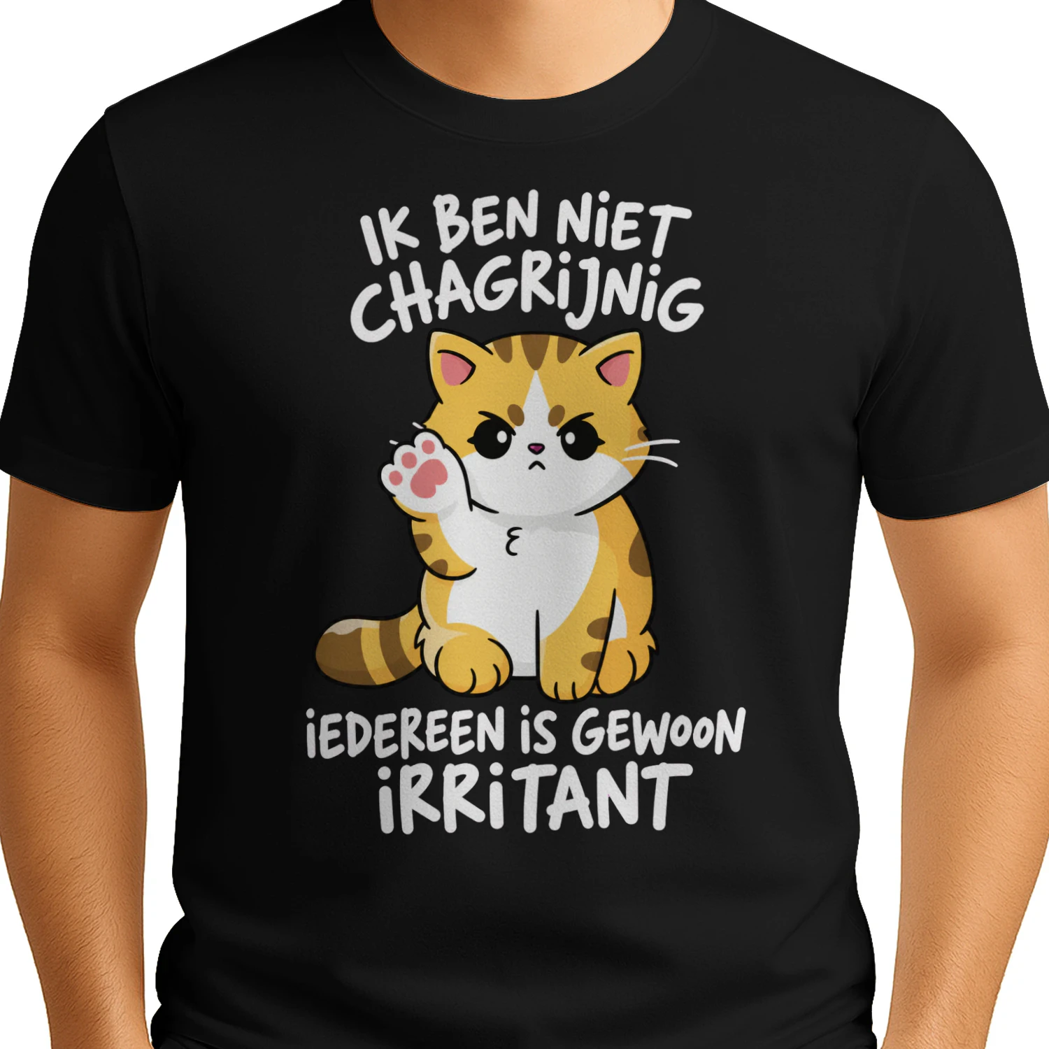 “IK BEN NIET CHAGRIJNIG — IEDEREEN IS GEWOON IRRITANT”