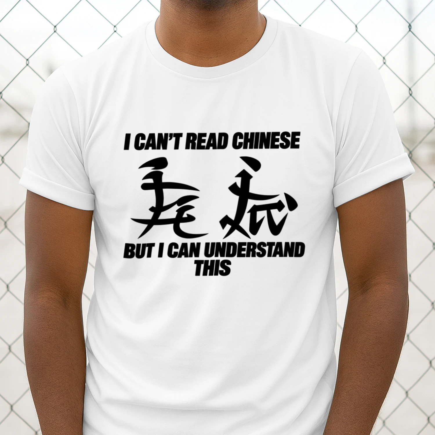 I Can’t Read Chinese But I Can Understand This Funny T-Shirt