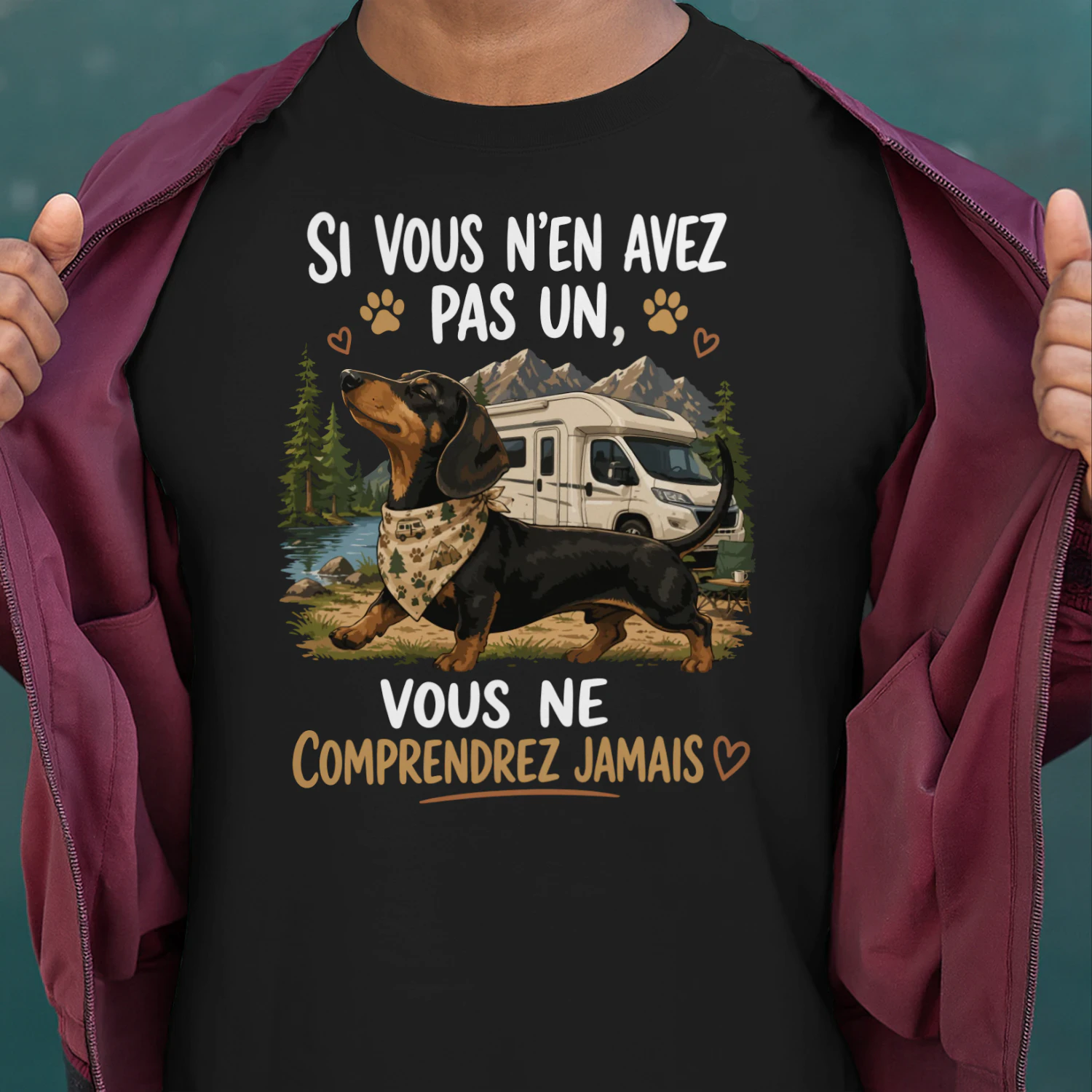 si vous n'es avez pas un, vous ne comprendrez jamais  