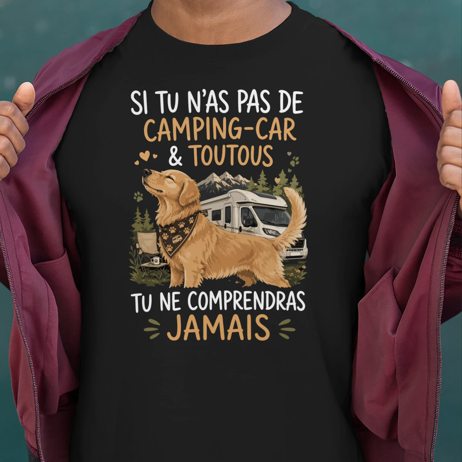 si vous n'es avez pas un, vous ne comprendrez jamais  