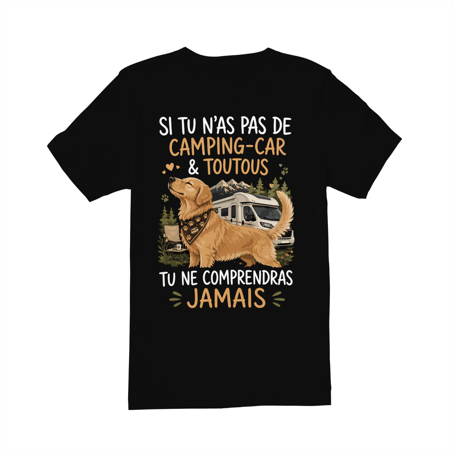 si vous n'es avez pas un, vous ne comprendrez jamais  