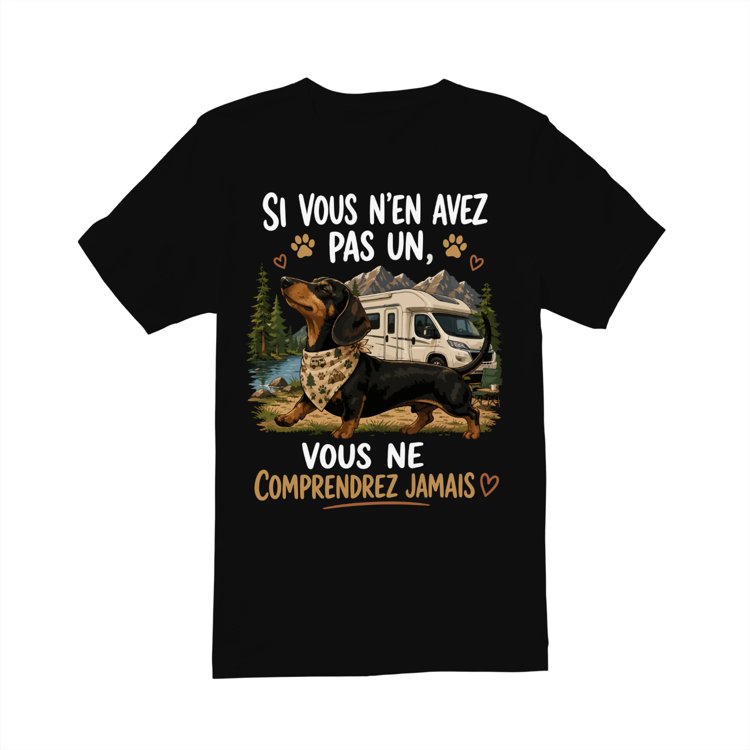 si vous n'es avez pas un, vous ne comprendrez jamais  