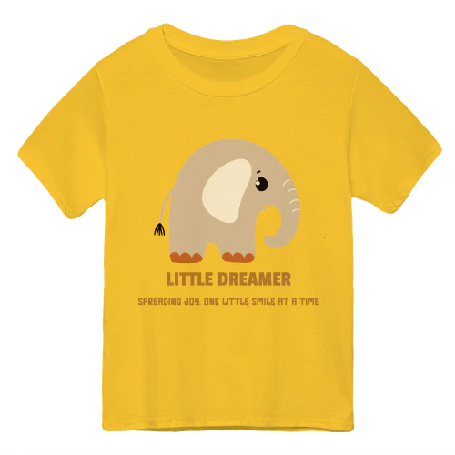 LITTLE DREAMER kids T-shirt