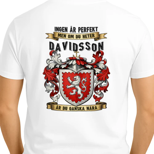davidsson-se2gl1-105