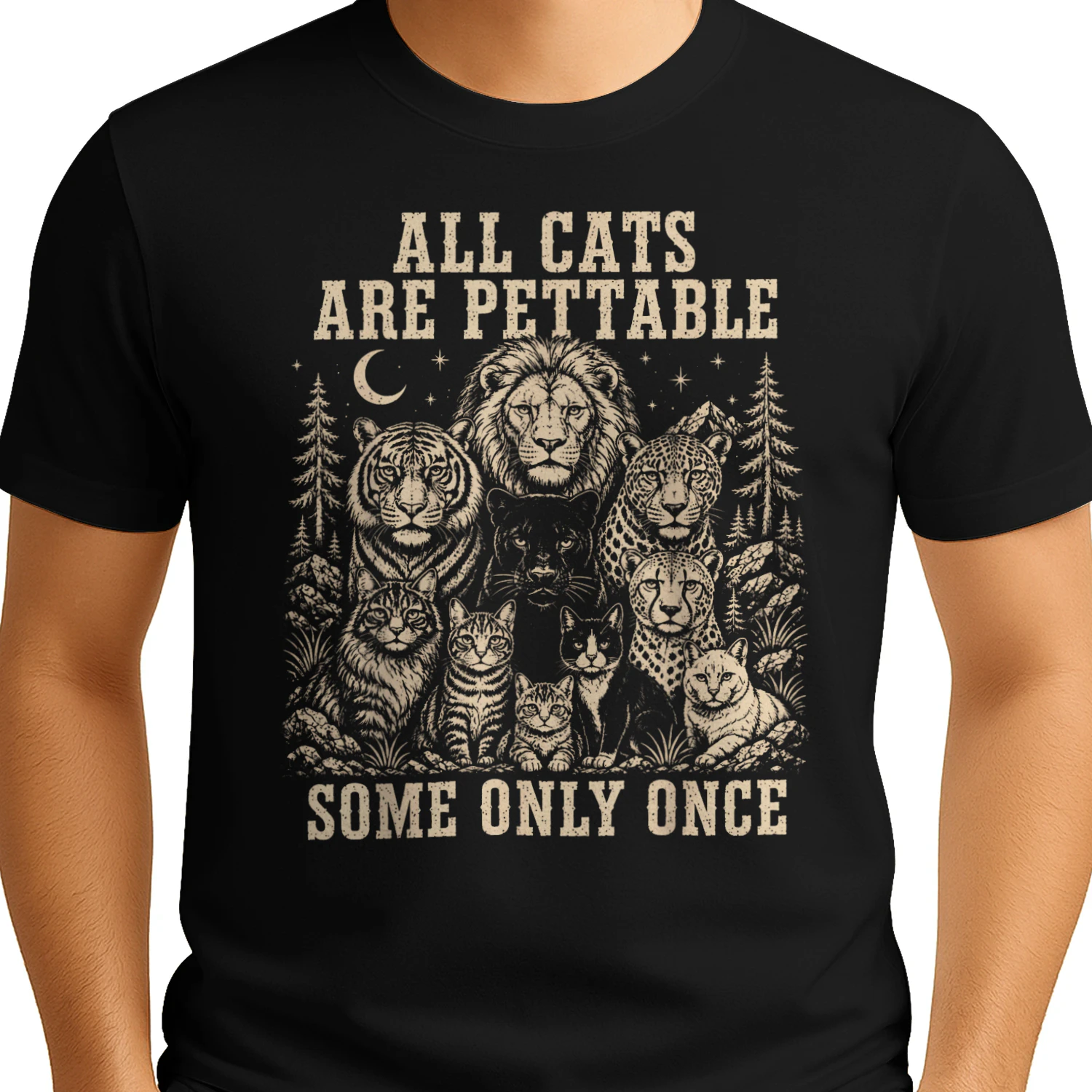 All Cats Are Pettable Some Once Cat Lover Funny 