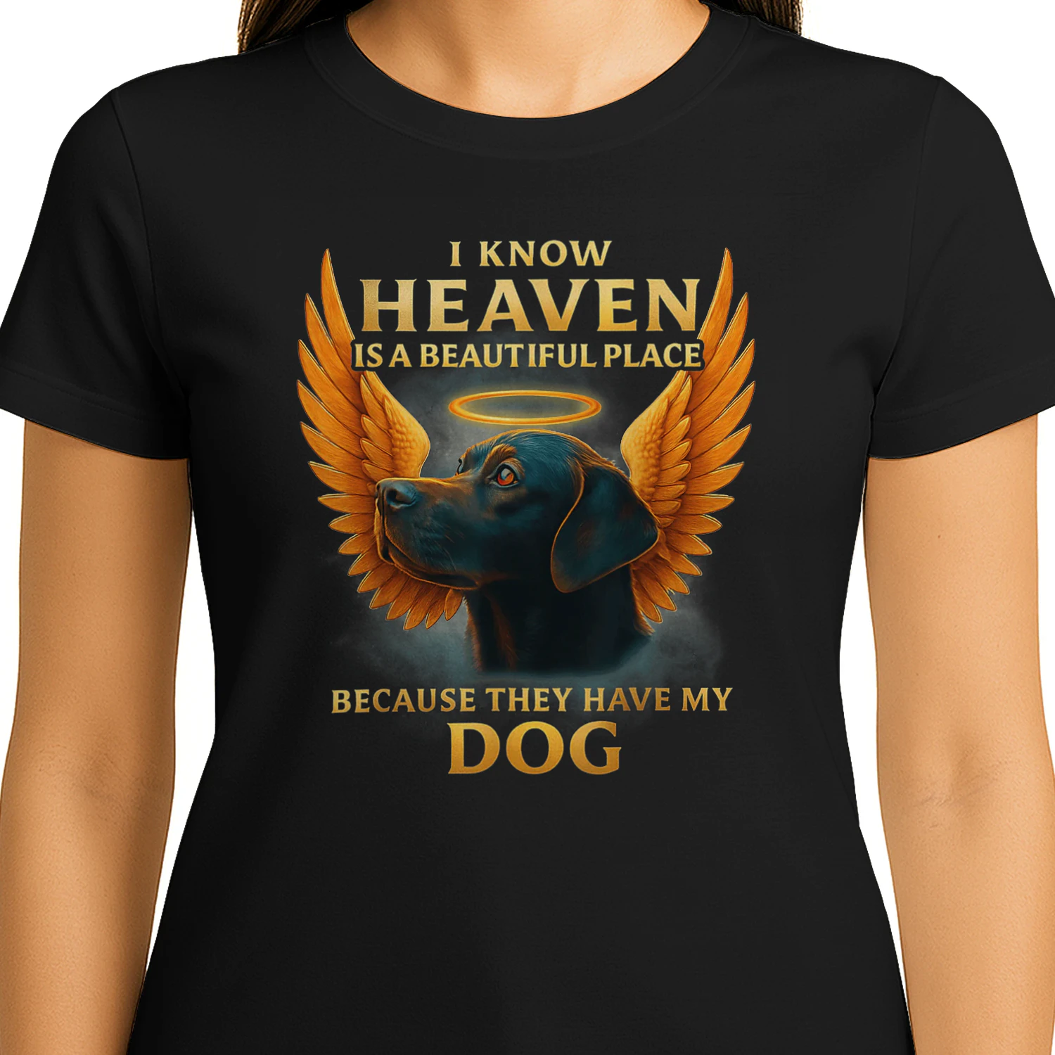 I Know Heaven Is a Beautiful Place Because They Have My Dog TShirt