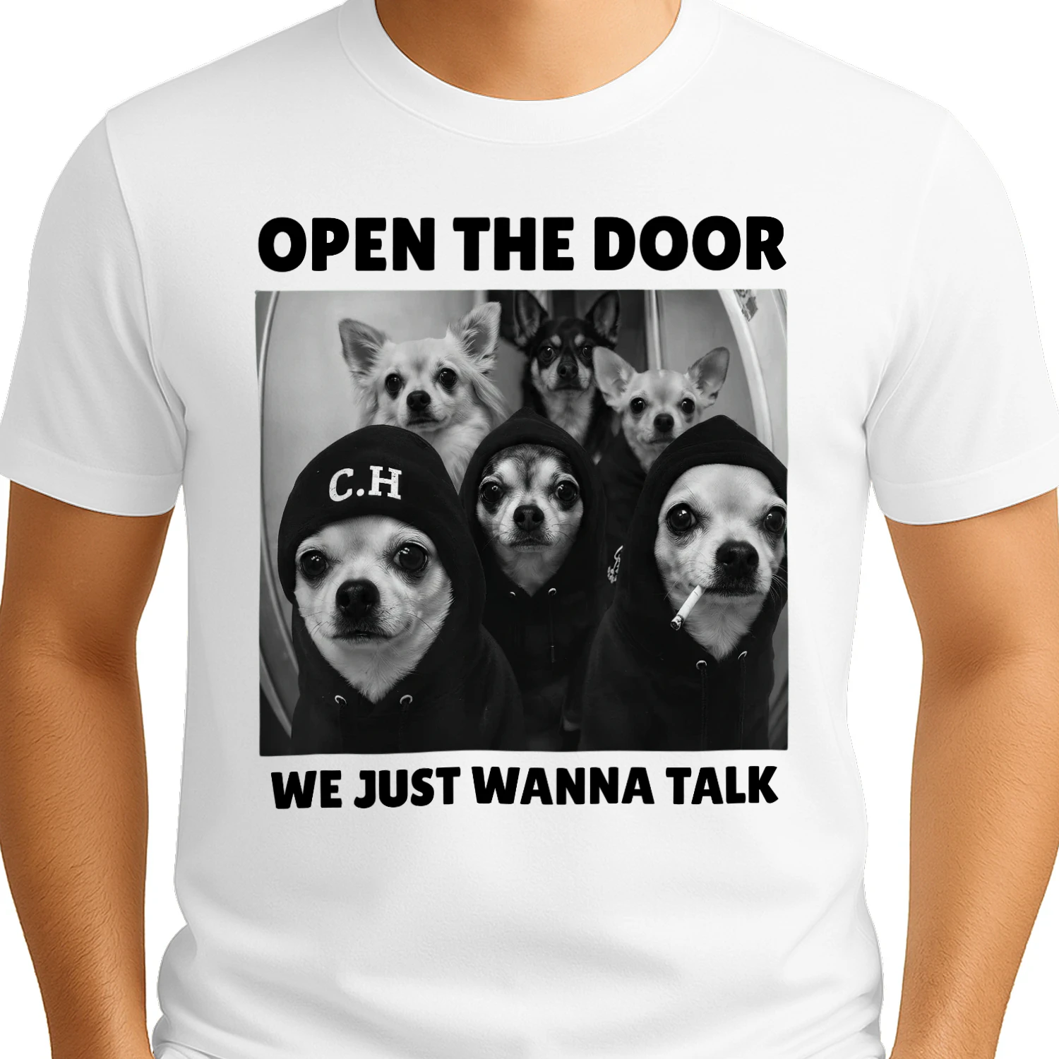 Open the Door We Just Wanna Talk Dog Lover T-Shirt