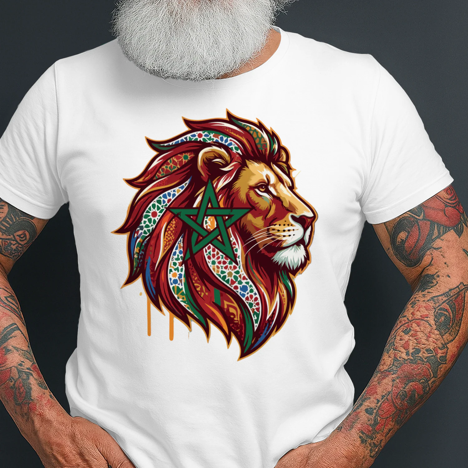  lion head moroccan zellige star