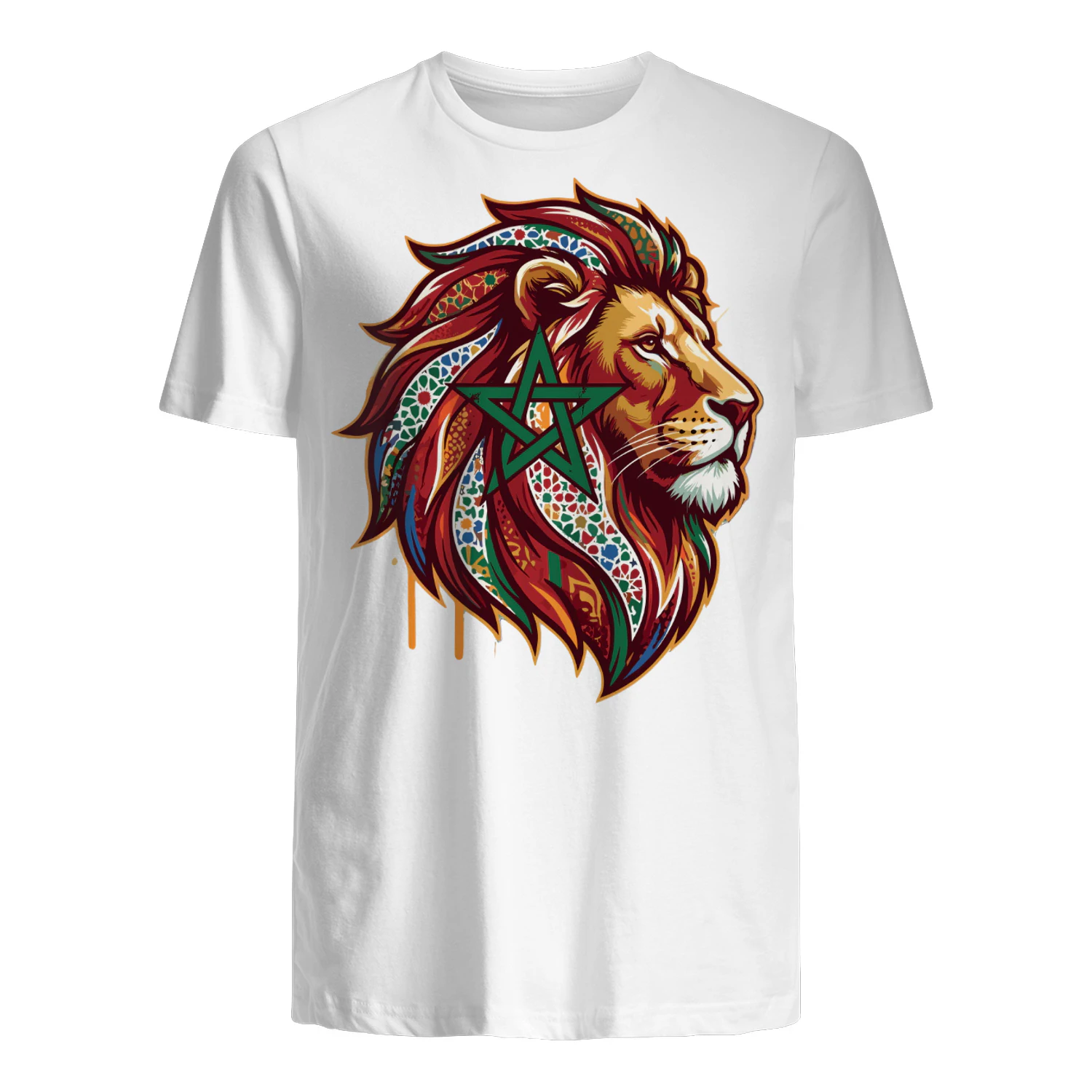  lion head moroccan zellige star