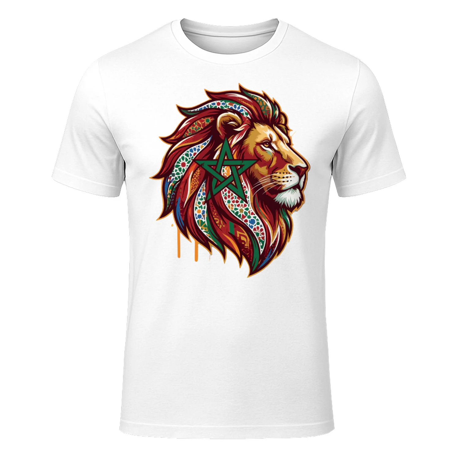  lion head moroccan zellige star