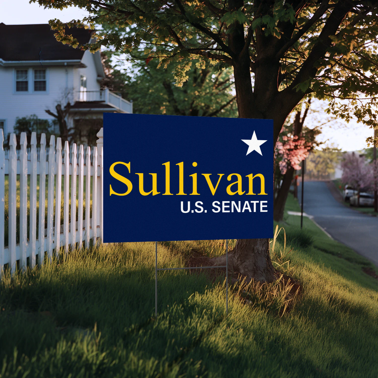 Dan J. Sullivan For Alaska Senate Yard Sign
