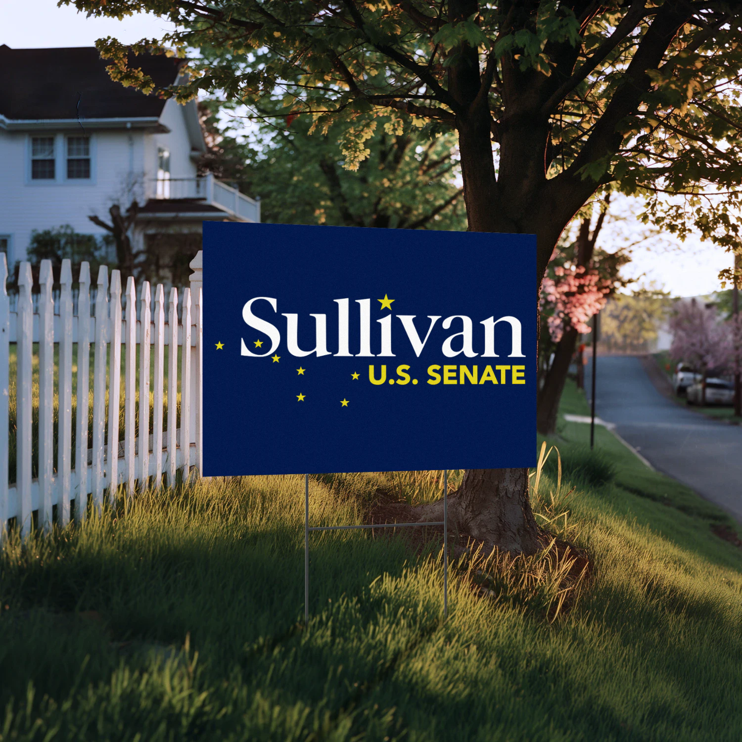 Dan S. Sullivan For Alaska Senate Yard Sign