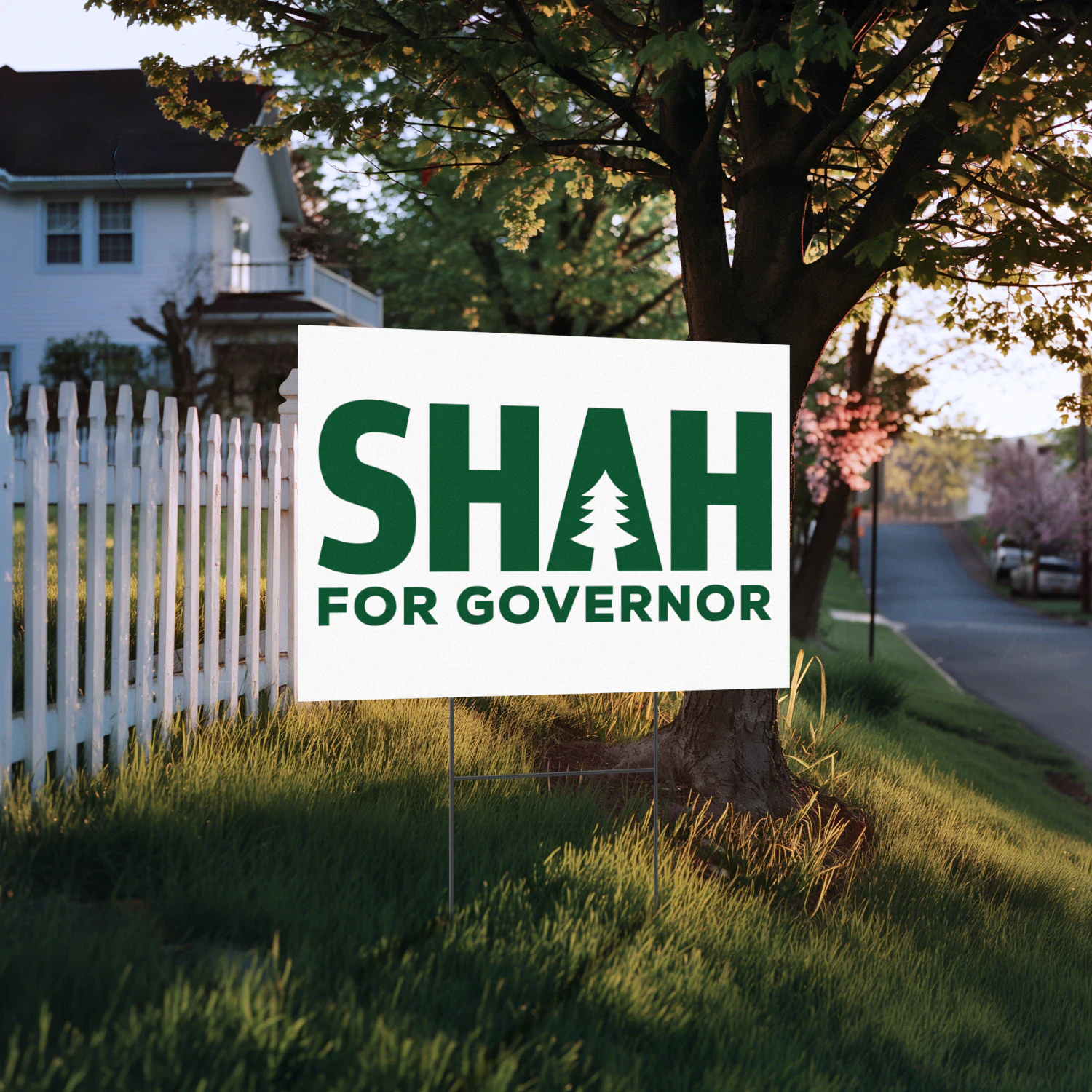 Nirav Shah For Governor Yard Sign