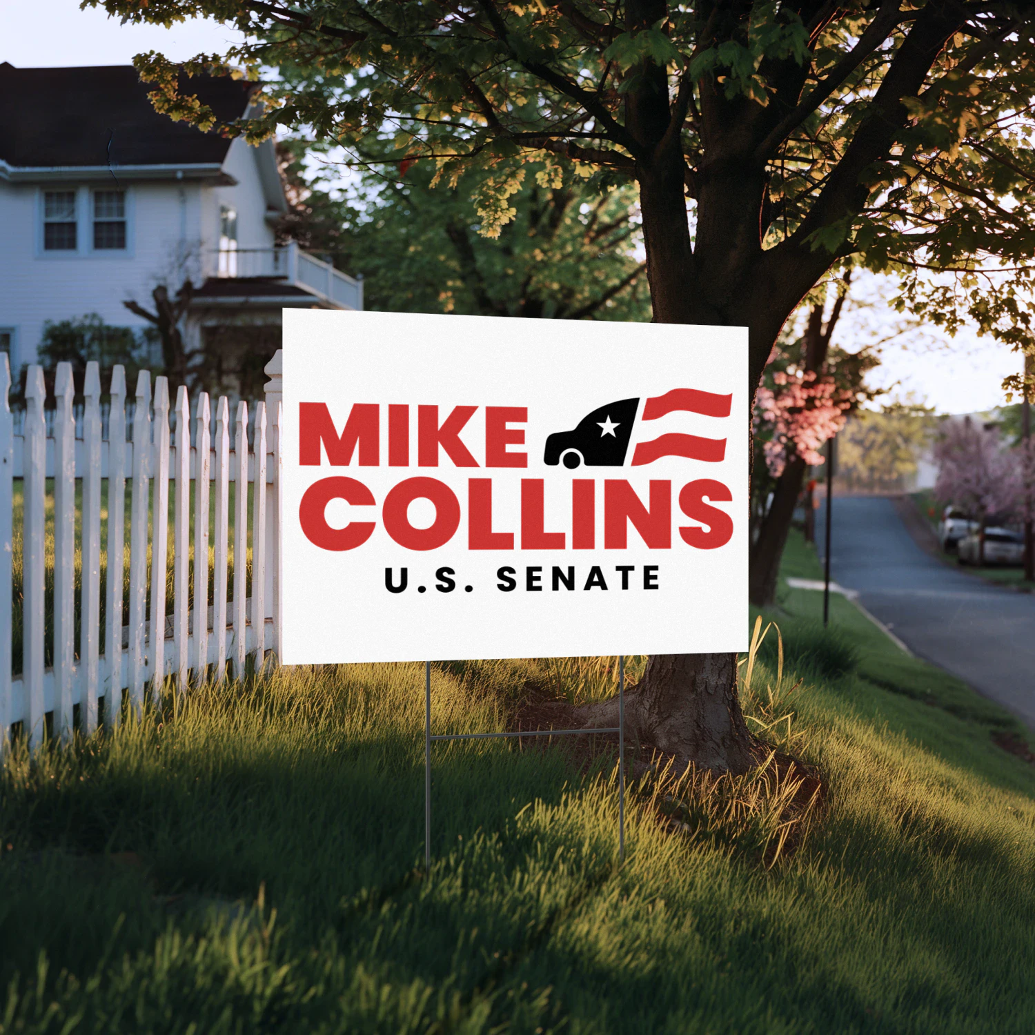 Mike Collins For U.S. Senate Yard Sign