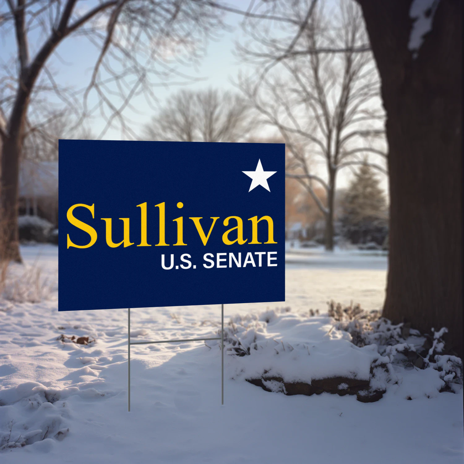 Dan J. Sullivan For Alaska Senate Yard Sign