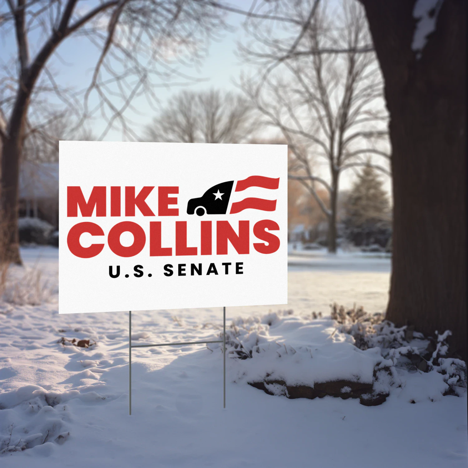 Mike Collins For U.S. Senate Yard Sign