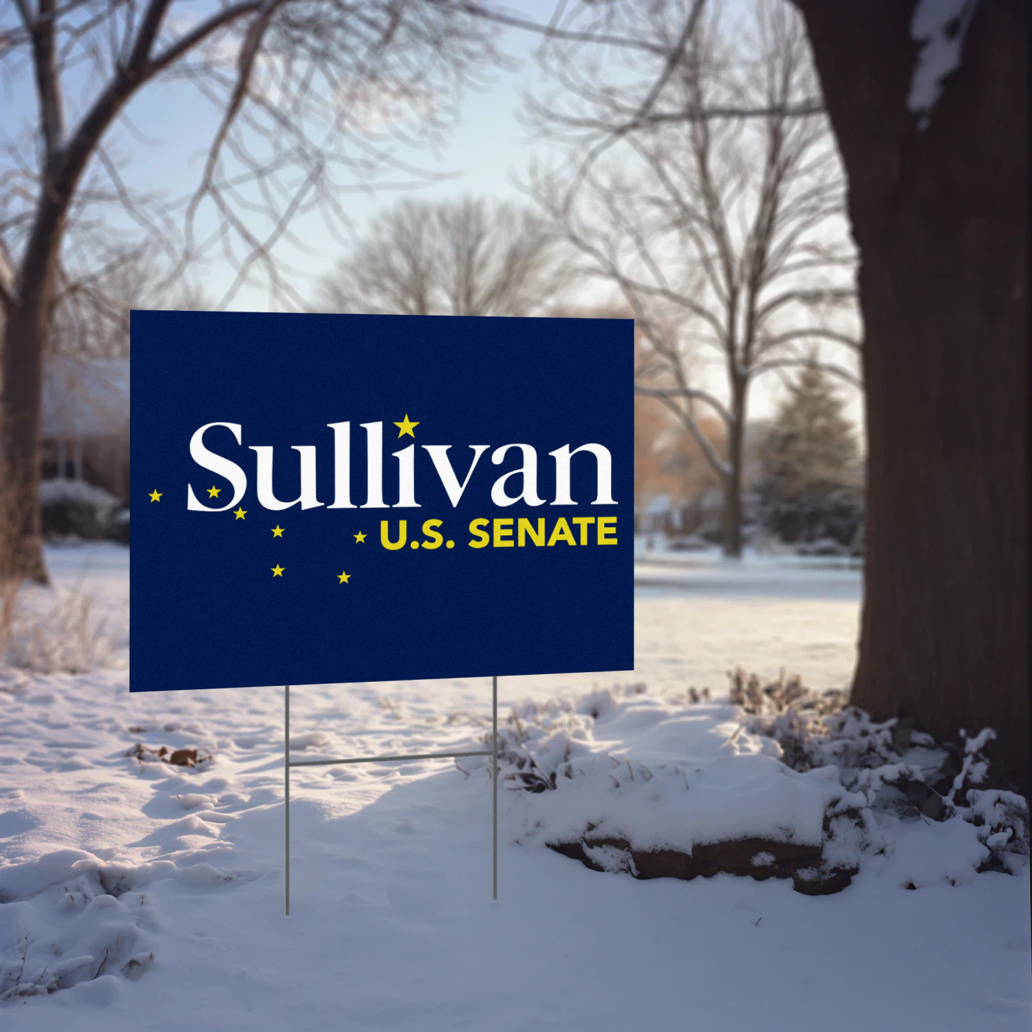Dan S. Sullivan For Alaska Senate Yard Sign