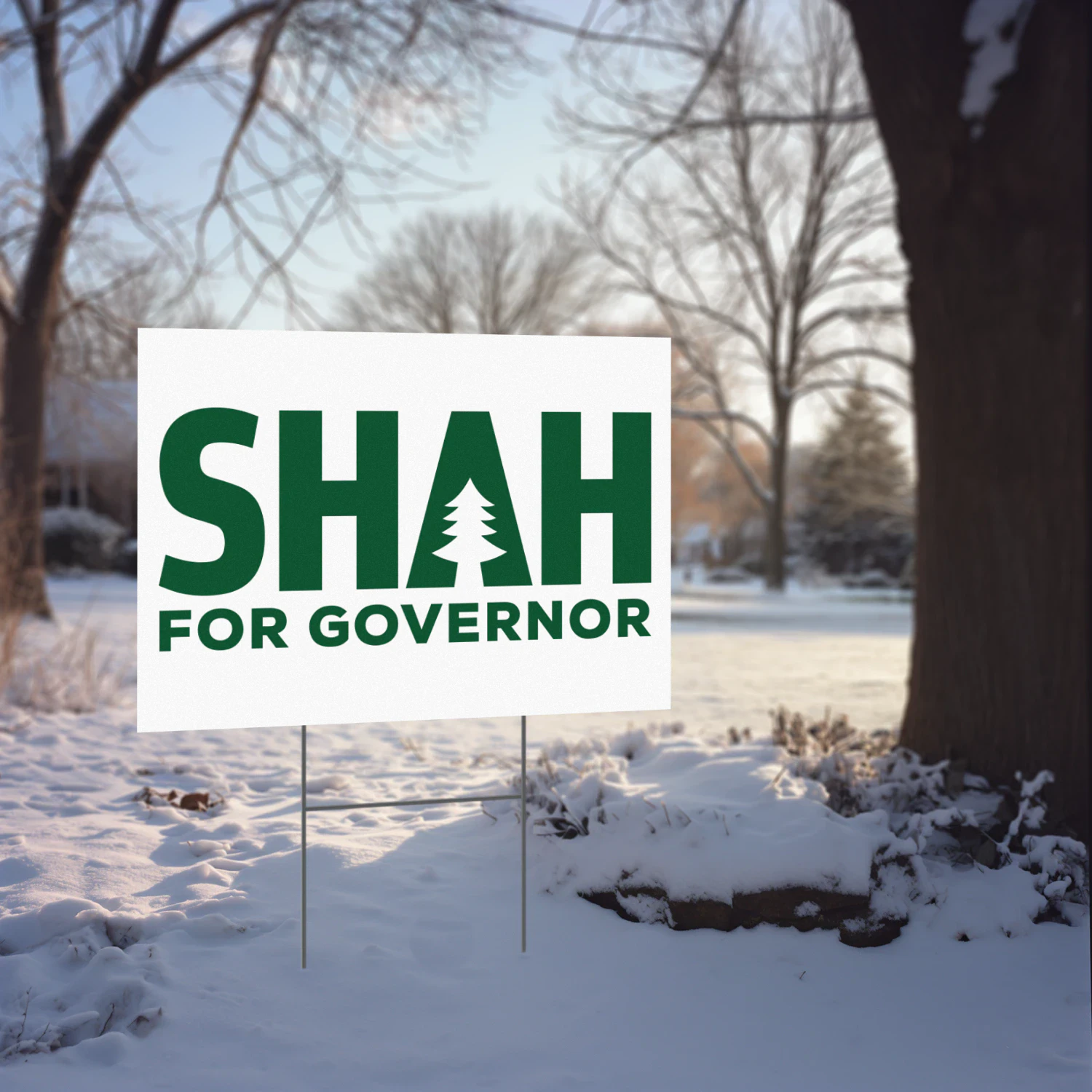 Nirav Shah For Governor Yard Sign