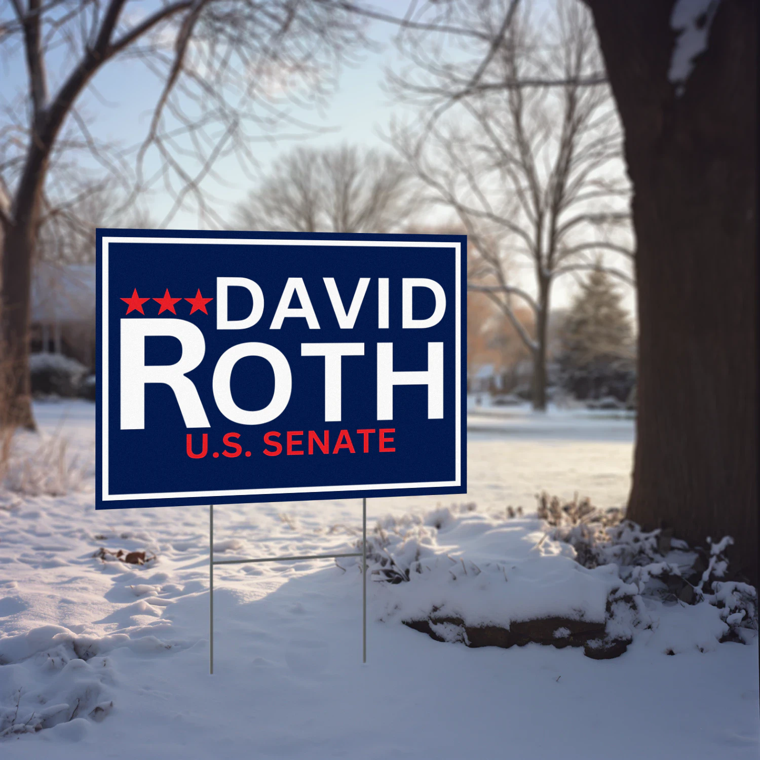 David Roth For Idaho Senate 2026 Yard Sign