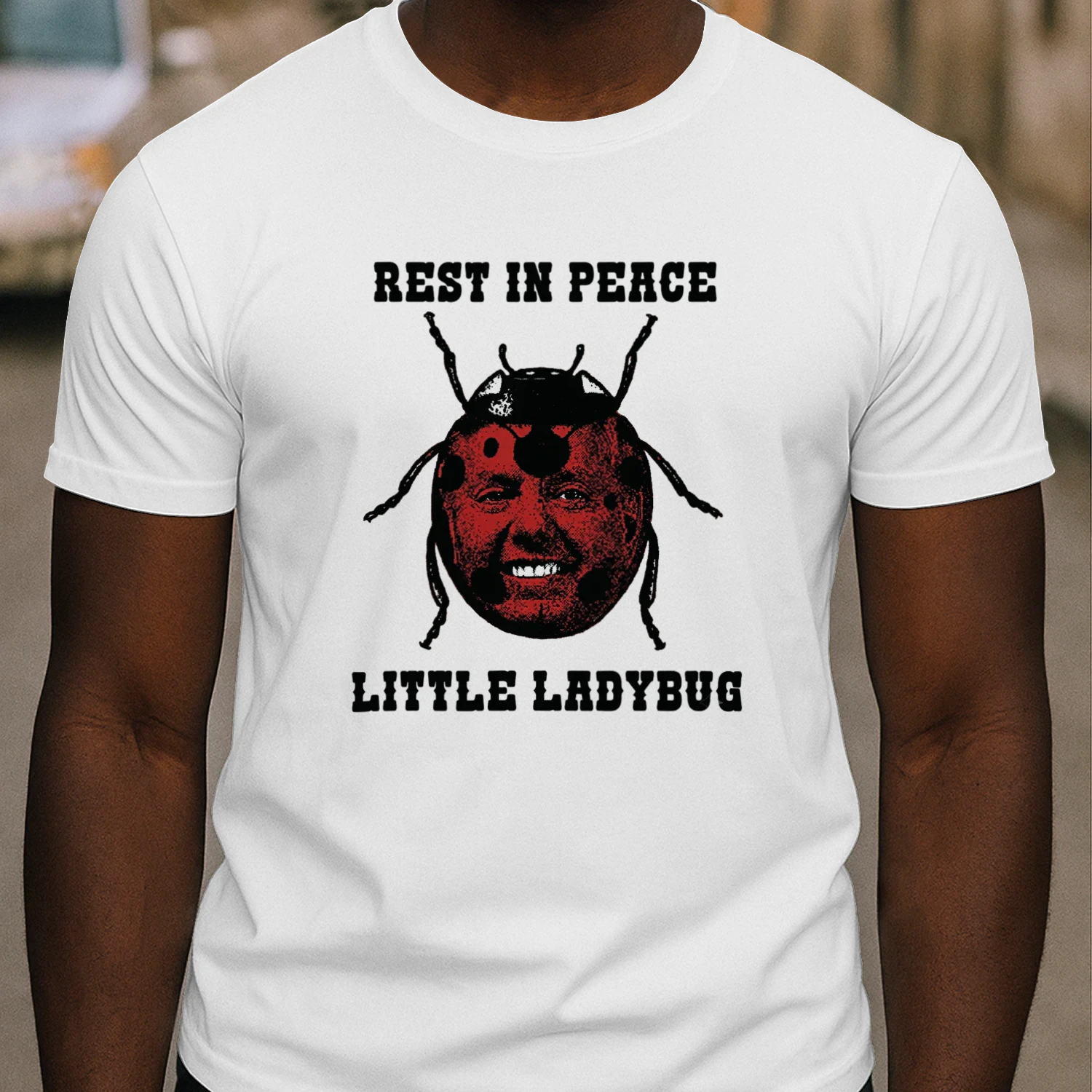 2026 Rest In Peace Little Ladybug Shirt