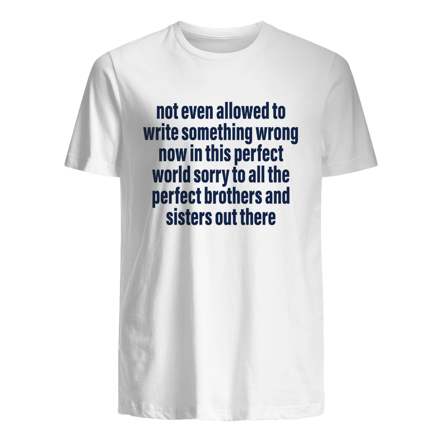 Not Even Allowed To Write Something Wrong Now In This Perfect World Shirt