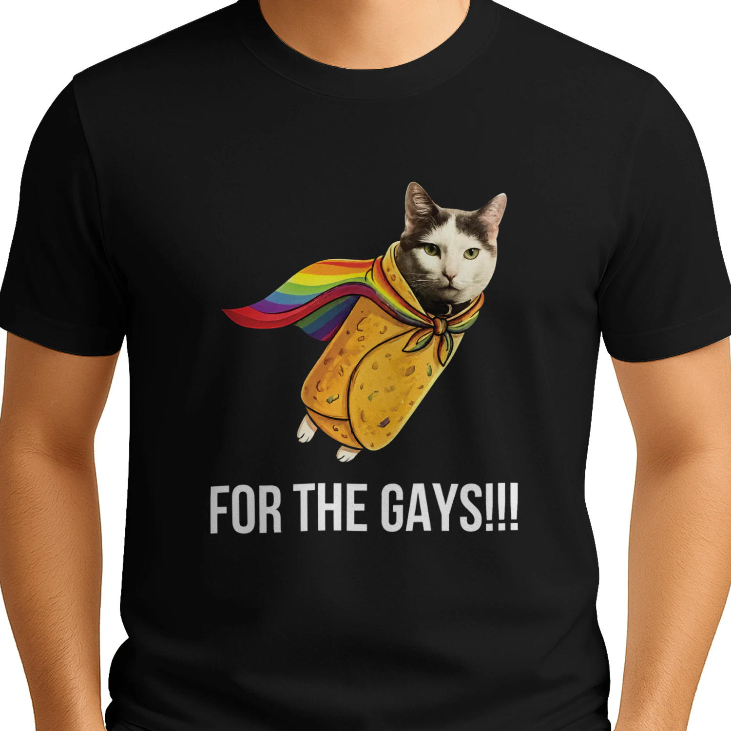 Taco Cat Pride Flag For The Gays Shirt