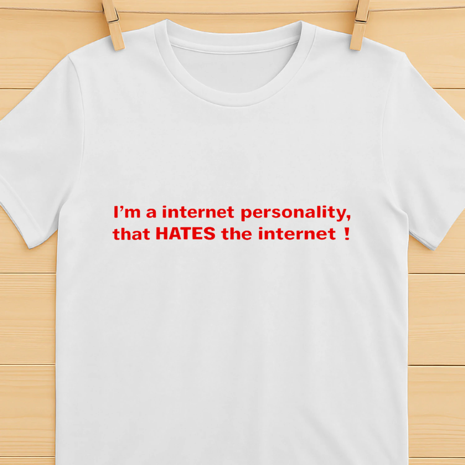 I'm a internet personality, that HATES the internet
